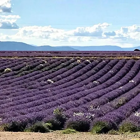 公寓 Le Nily Provence, Douceur & Vue D'exception